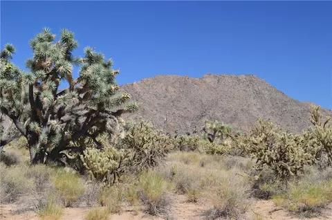 11300 S Dennis Rd, Yucca, AZ 86438