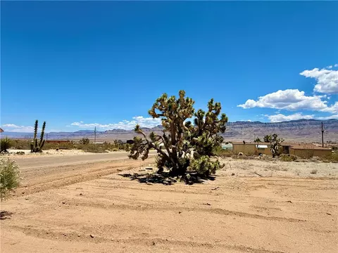 10 E Nims Ln, Meadview, AZ 86444 photo 40