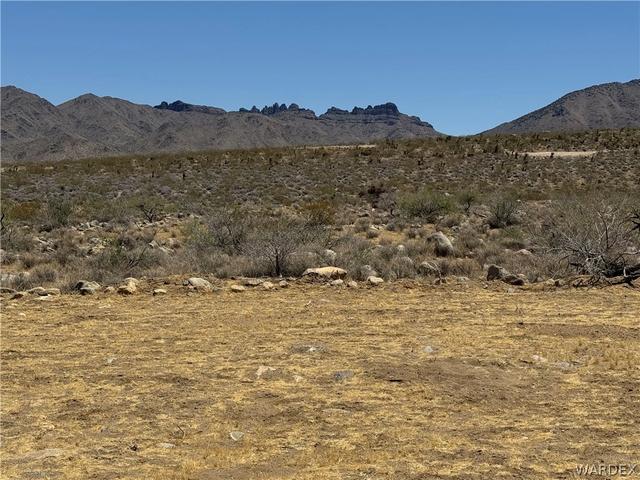 316-05 018 June, Dolan Springs, AZ 86441