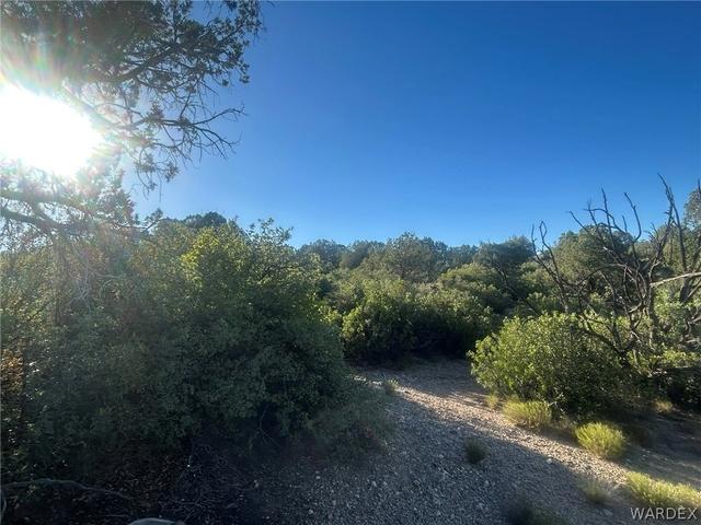 204-17 044 Unknown, Kingman, AZ 86401