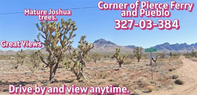 327-03 N 384 N Pierce Ferry Rd, Dolan Springs, AZ 86441
