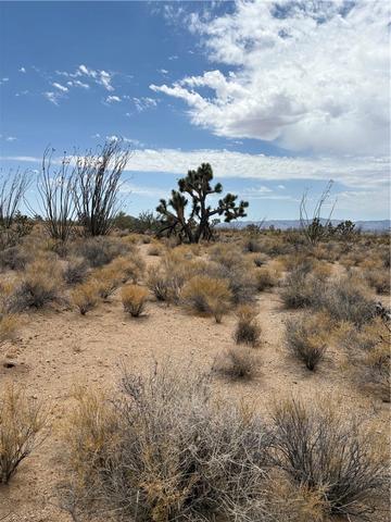 244-08 203 Organ Pipe Pl, Yucca, AZ 86438