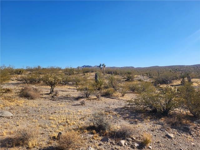 1160 W Bradley Bay Dr, Meadview, AZ 86444