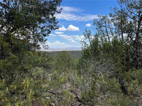 46675 N Edge Ridge Rd, Seligman, AZ 86337