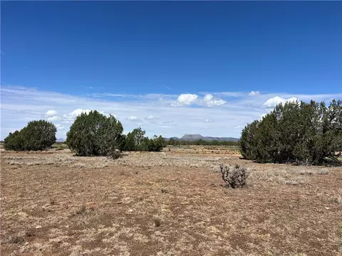 36685 W Younger Trl, Seligman, AZ 86337