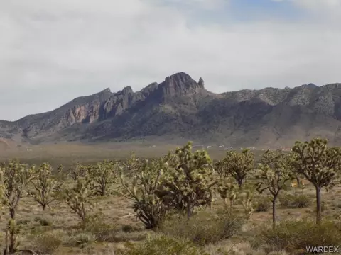 18144 Longhorn Dr, Dolan Springs, AZ 86441