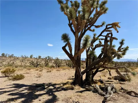 327-05 019 Merry, Dolan Springs, AZ 86441