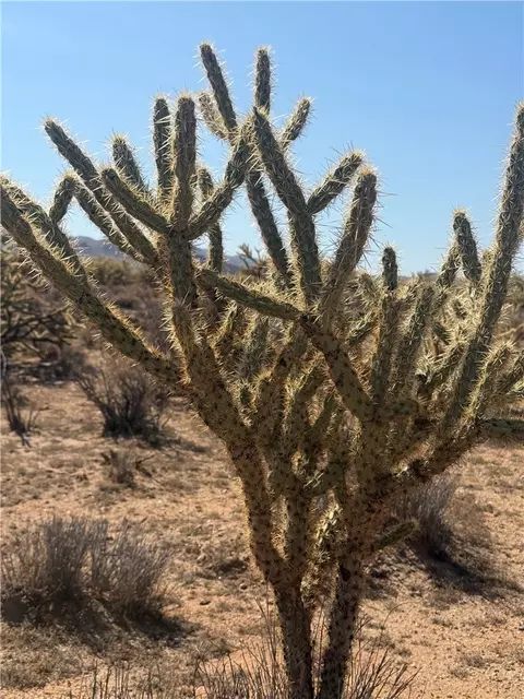 340-16 056 Turquoise, Dolan Springs, AZ 86441