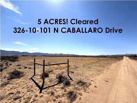 326-10 N 101 N Caballaro Dr, Dolan Springs, AZ 86441
