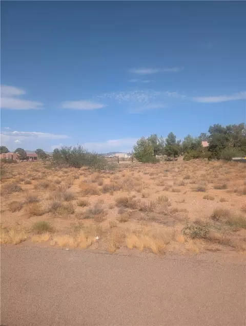 9536 9906 9922 7807 7634 Singletree Pioneer Way Mesa Vista Chuckawalla, Kingman, AZ 86401