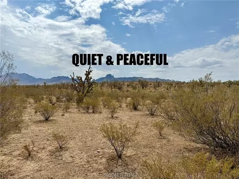 319-08 429 Kingman Dr, Dolan Springs, AZ 86441