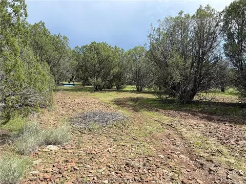 314-59 037 Greeley Dam Rd, Seligman, AZ 86337