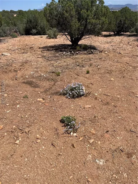 9650 Moutain Shadow Rd, Kingman, AZ 86401 photo 32