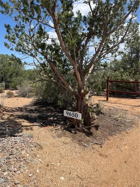 9650 Moutain Shadow Rd, Kingman, AZ 86401 photo 3