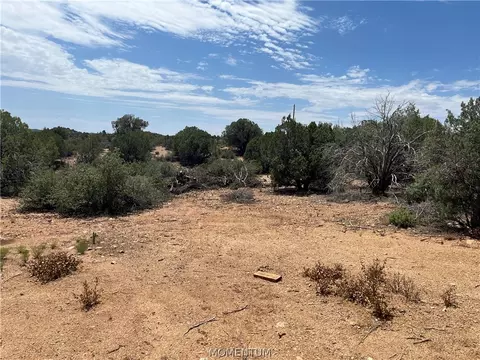 9650 Moutain Shadow Rd, Kingman, AZ 86401 photo 24