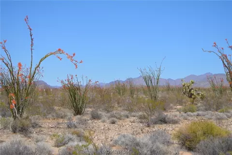 245-24 S 169 S Red Lake Rd, Yucca, AZ 86438