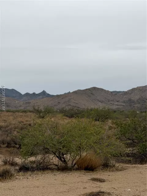 331-16 E 009 E Harry Coffman Rd, Kingman, AZ 86409 photo 3