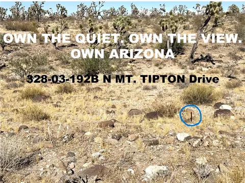 328-03 N 192b N Mt Tipton Dr, Dolan Springs, AZ 86441