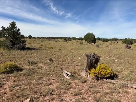 301-31 313 N Hyde Park Rd, Seligman, AZ 86337