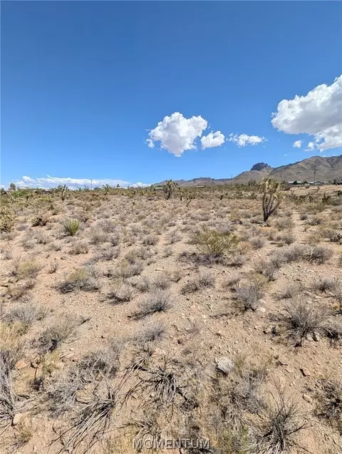 319-13 N 262 N Knl, Dolan Springs, AZ 86441