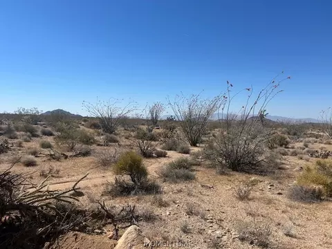 244-08 S 258 S Apache, Yucca, AZ 86438 photo 21