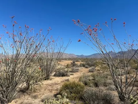 244-08 S 258 S Apache, Yucca, AZ 86438 photo 5