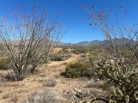 244-08 S 258 S Apache, Yucca, AZ 86438 photo 4