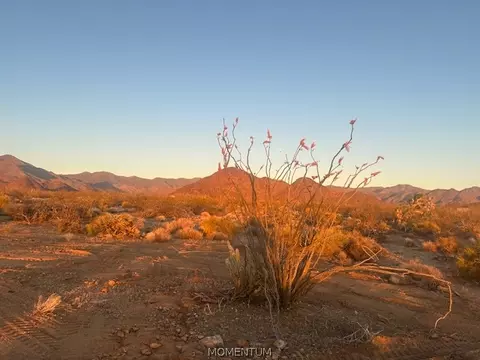 244-08 S 258 S Apache, Yucca, AZ 86438 photo 12