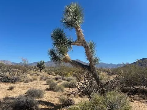 244-08 259 Apache Dr, Yucca, AZ 86438 photo 12