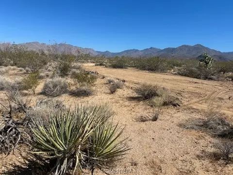 244-08 259 Apache Dr, Yucca, AZ 86438 photo 7