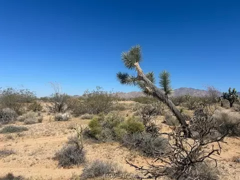 244-08 259 Apache Dr, Yucca, AZ 86438 photo 11
