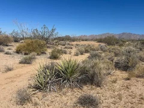 244-08 259 Apache Dr, Yucca, AZ 86438 photo 10