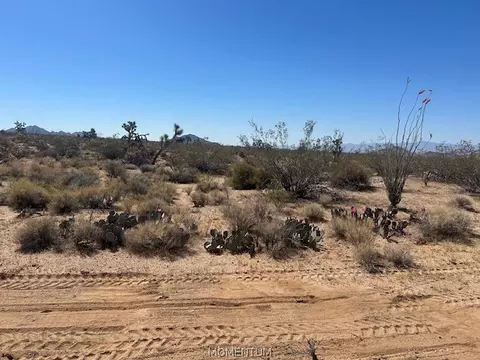 244-08 259 Apache Dr, Yucca, AZ 86438 photo 5