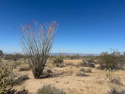244-08 259 Apache Dr, Yucca, AZ 86438 photo 2