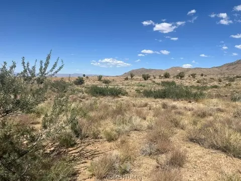 313-57 019 N Canyon Rd, Kingman, AZ 86401 photo 3