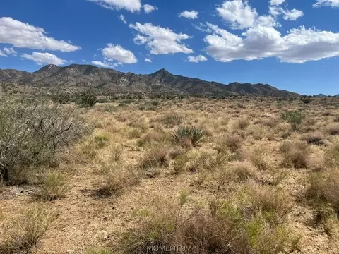 313-57 019 N Canyon Rd, Kingman, AZ 86401 photo 4
