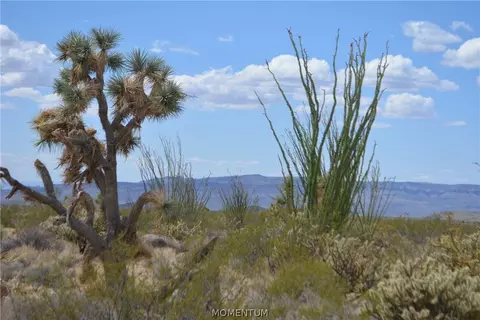 244-06 270 Sundance Rd, Yucca, AZ 86438 photo 2