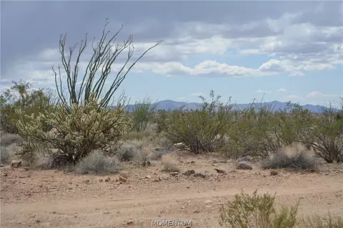244-06 270 Sundance Rd, Yucca, AZ 86438 photo 21