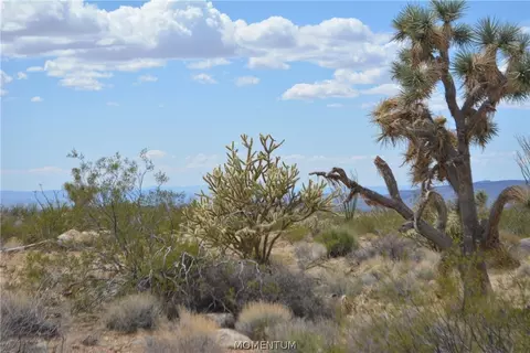 244-06 270 Sundance Rd, Yucca, AZ 86438 photo 23