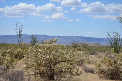 244-06 270 Sundance Rd, Yucca, AZ 86438 photo 28