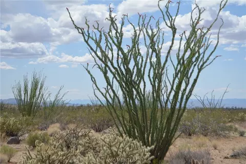 244-06 270 Sundance Rd, Yucca, AZ 86438 photo 31