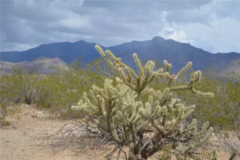 244-06 270 Sundance Rd, Yucca, AZ 86438 photo 14