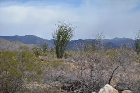 244-06 270 Sundance Rd, Yucca, AZ 86438 photo 18