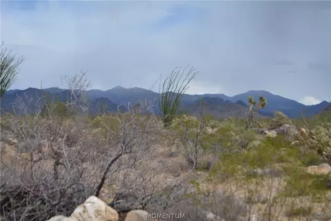 244-06 270 Sundance Rd, Yucca, AZ 86438 photo 19