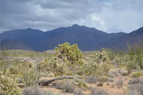 244-06 270 Sundance Rd, Yucca, AZ 86438 photo 39