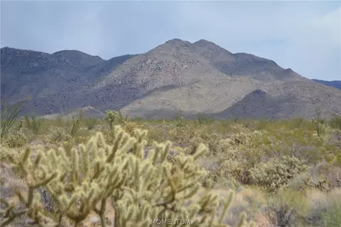 244-06 270 Sundance Rd, Yucca, AZ 86438 photo 32