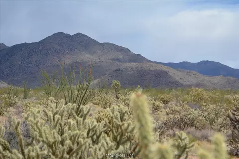 244-06 270 Sundance Rd, Yucca, AZ 86438 photo 40