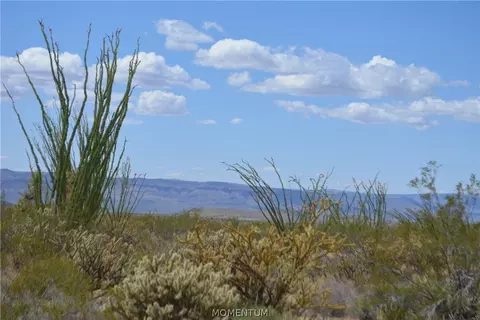244-06 270 Sundance Rd, Yucca, AZ 86438 photo 3