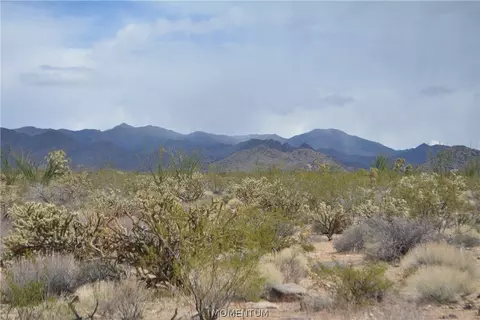 244-06 270 Sundance Rd, Yucca, AZ 86438 photo 42