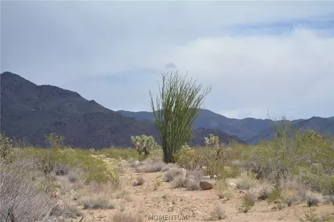 244-06 270 Sundance Rd, Yucca, AZ 86438 photo 50